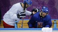 Dosavadním "stařešinou českého olympijského hokejového rodu" je Jágrův kamarád a spoluhráč Petr Nedvěd, jemuž bylo v Soči v den posledního českého zápasu na turnaji 42 let a 72 dní. Mimochodem, Jágr je jen o tři měsíce mladší.