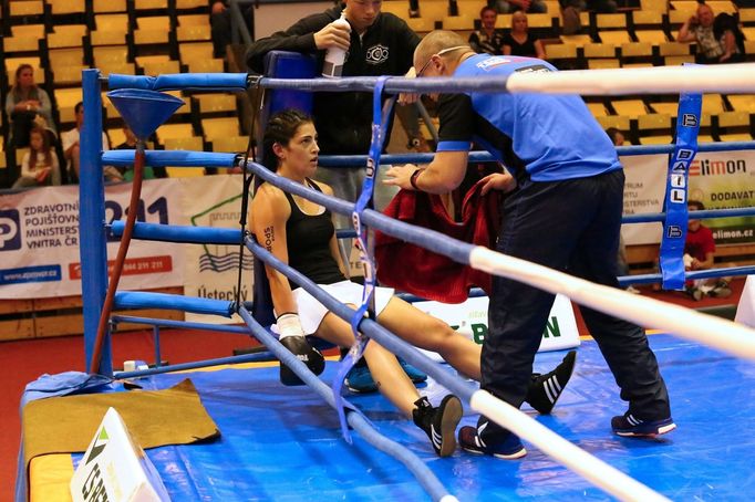 46. ročník Grand Prix Ústí nad Labem 2015