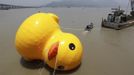 REFILE - CLARIFYING CAPTION WITH ADDITIONAL INFORMATION People set up a giant 15-meter-high inflatable rubber duck in a river in Wenzhou, Zhejiang province July 1, 2013. At least ten replicas of Dutch conceptual artist Florentijn Hofman's creation titled "Rubber Duck", have appeared all over China after the artist displayed his inflatable installation in Hong Kong last month, according to local media. Picture taken July 1, 2013. REUTERS/Stringer (CHINA - Tags: SOCIETY) CHINA OUT. NO COMMERCIAL OR EDITORIAL SALES IN CHINA Published: Čec. 2, 2013, 7:34 dop.