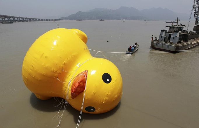 REFILE - CLARIFYING CAPTION WITH ADDITIONAL INFORMATION People set up a giant 15-meter-high inflatable rubber duck in a river in Wenzhou, Zhejiang province July 1, 2013. At least ten replicas of Dutch conceptual artist Florentijn Hofman's creation titled "Rubber Duck", have appeared all over China after the artist displayed his inflatable installation in Hong Kong last month, according to local media. Picture taken July 1, 2013. REUTERS/Stringer (CHINA - Tags: SOCIETY) CHINA OUT. NO COMMERCIAL OR EDITORIAL SALES IN CHINA Published: Čec. 2, 2013, 7:34 dop.