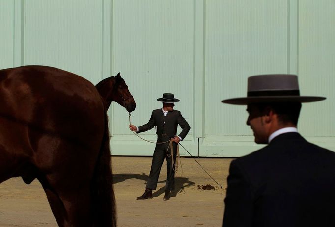 Andalúzští jezdci čekají s koňmi před započetím soutěže "Sicab International Pre Horse Fair" v hlavním městě Seville, 23. listopadu 2011. Čtyřdenní veletrh je věnován výlučně španělským plnokrevníkům. REUTERS/Marcelo del Pozo