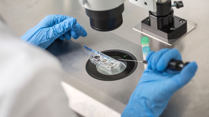 Zmrazit, vybrat, oplodnit. Asistovaná reprodukce je v Česku na vzestupu; Zdroj foto: Shutterstock