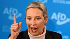 AfD, Alice Weidelová