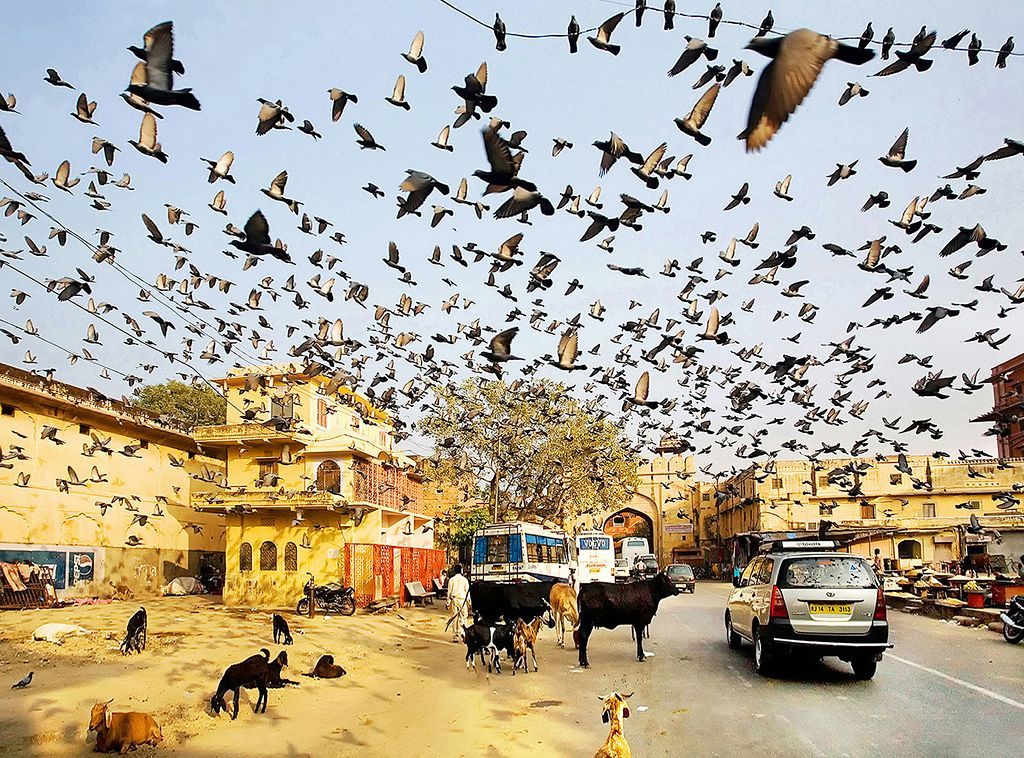 Fotogalerie: Sony World Photography Awards 2013 - Shortlist highlights - Open / Ne pro články!!!