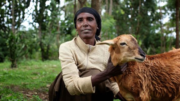 1 zemědělský balík CARE v hodnotě 1 500 Kč dá jedné rodině kozu nebo hejno slepic pro dlouhodobou obživu celé domácnosti.