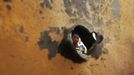 A woman is seen through a bullet hole of a vehicle, believed to belong to Islamist rebels and destroyed during French air strikes, in the recently liberated town of Diabaly January 24, 2013. REUTERS/Eric Gaillard (MALI - Tags: CIVIL UNREST CONFLICT MILITARY POLITICS) Published: Led. 24, 2013, 5:42 odp.