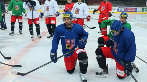 Česká hokejová reprezentace (Karjala Cup 2013) - Zbyněk Irgl