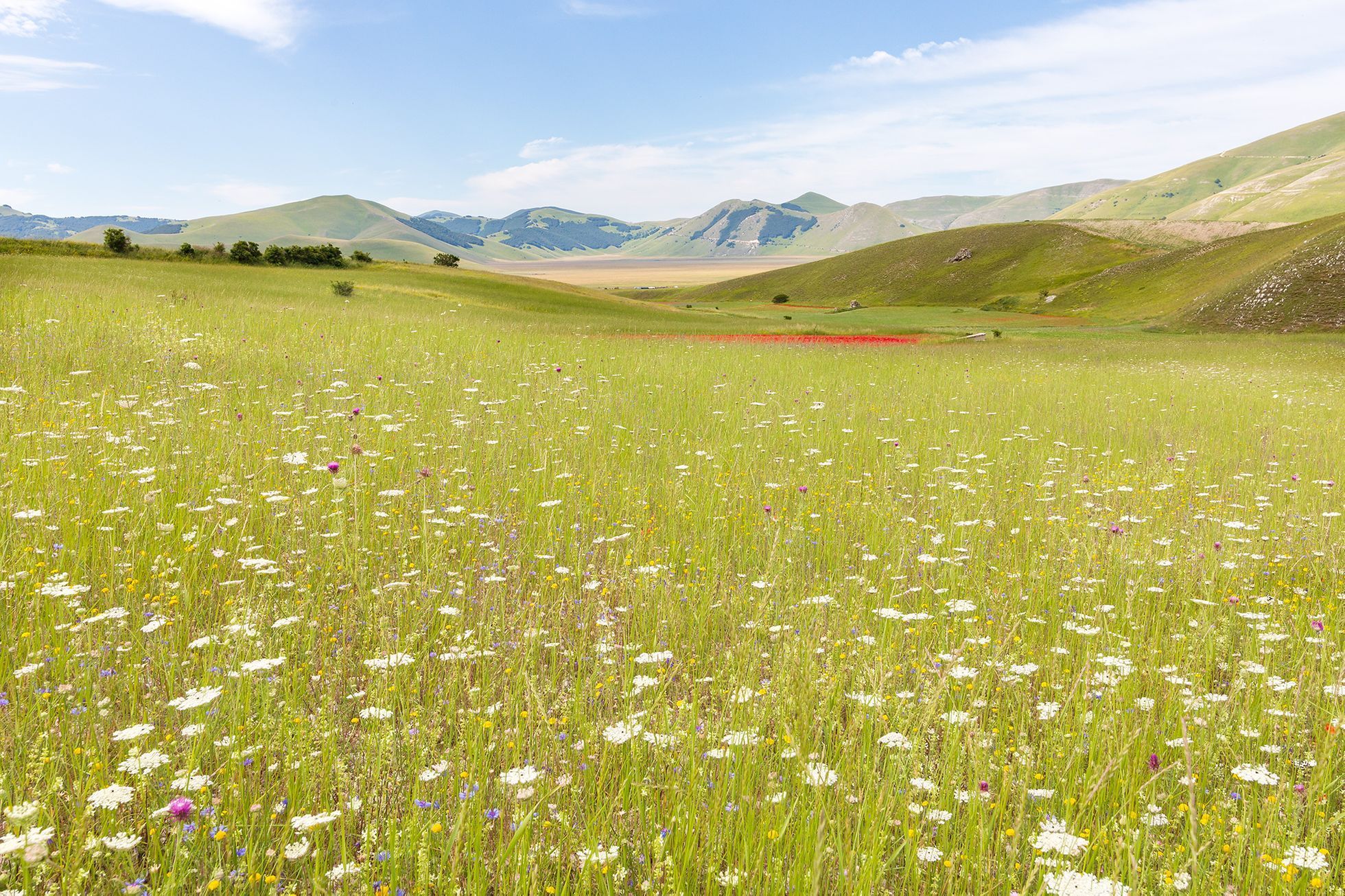 Castelluccio, dva roky po ničivém zemětřesení