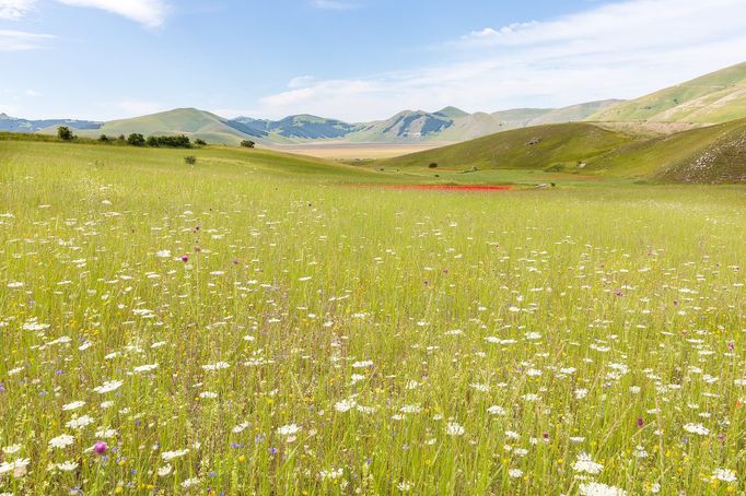 Castelluccio, dva roky po ničivém zemětřesení (využití na sociálních sítích je možné, prosím nepoužívat opakovaně, fotky nevznikly v rámci autorské smlouvy s Aktuálně.cz)