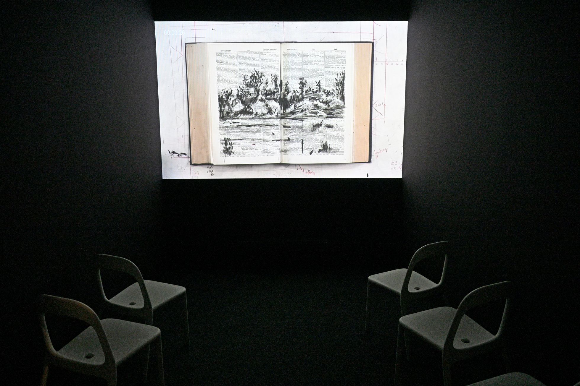 DOX, Fall, festival, 2023