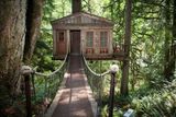 V korunách stromů - Tree House Point ve Fall City ve státě Washington nabízí hostům naprosté soukromí v hlubokých lesích. Třicet minut od Seattlu se nachází originální ubytování v korunách stromů.