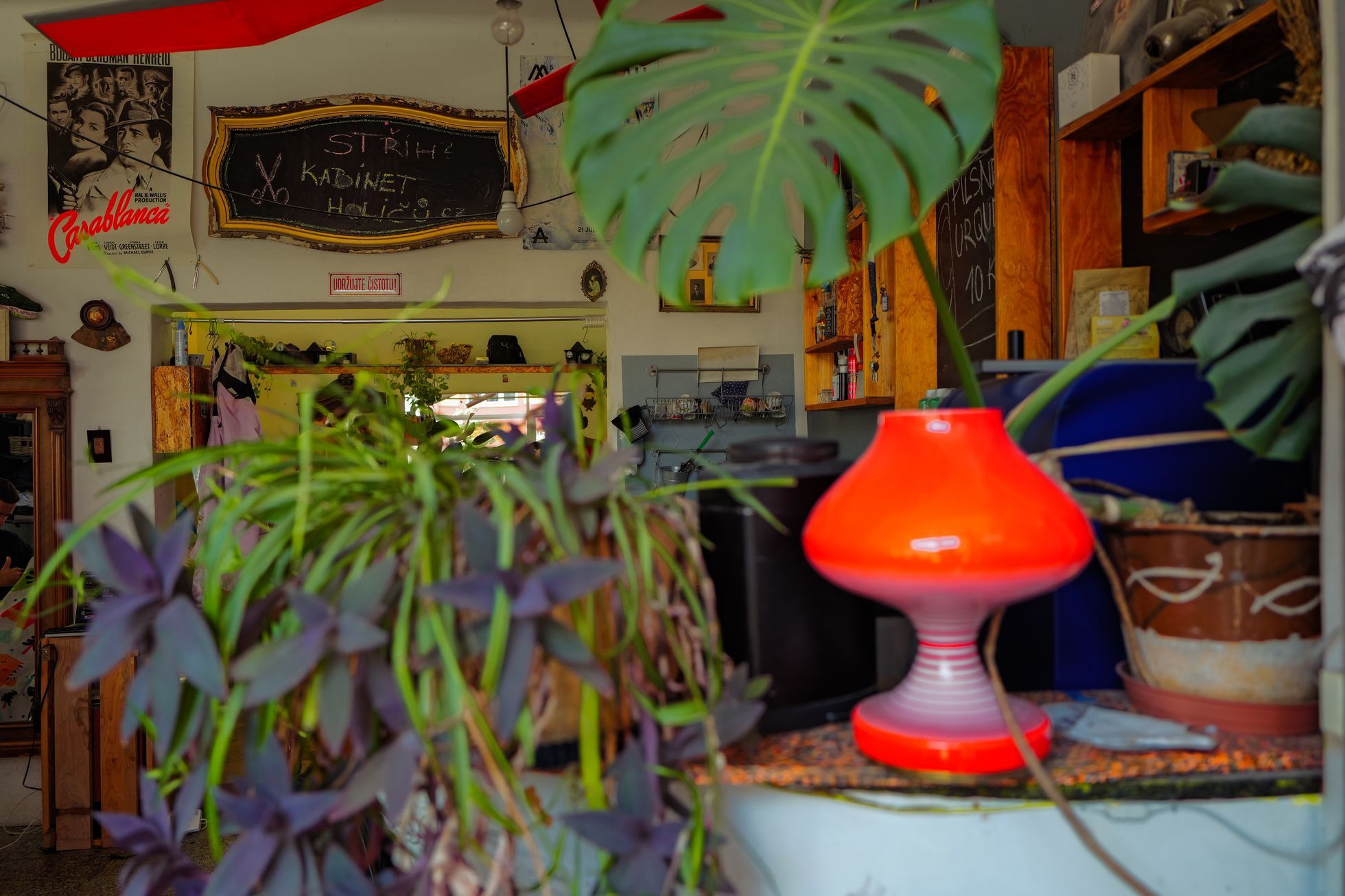 kabinet holicu, tom holic