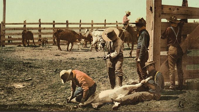 Krajinou kovbojů a zlatokopů: Staré fotky ukazují zlatou horečku u Cripple Creeku