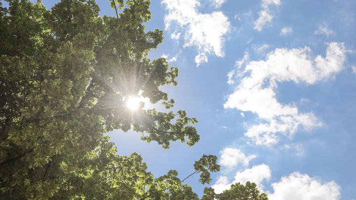 Konec prázdnin bude slunečný, ale nad 30 se už teploty nedostanou; Zdroj foto: Jakub Plíhal