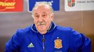 Vicente del Bosque