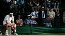 Djokovič vs. Del Potro, semifinále Wimbledonu 2013.