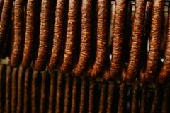 Vyřadili z jídelníčku uzeniny a kolu. Reakce lidského mozku překvapila i odborníky