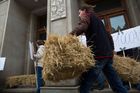 V ranních hodinách začali demonstranti skládat balíky slámy před vchod do ministerstva.