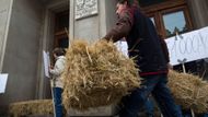 V ranních hodinách začali demonstranti skládat balíky slámy před vchod do ministerstva.