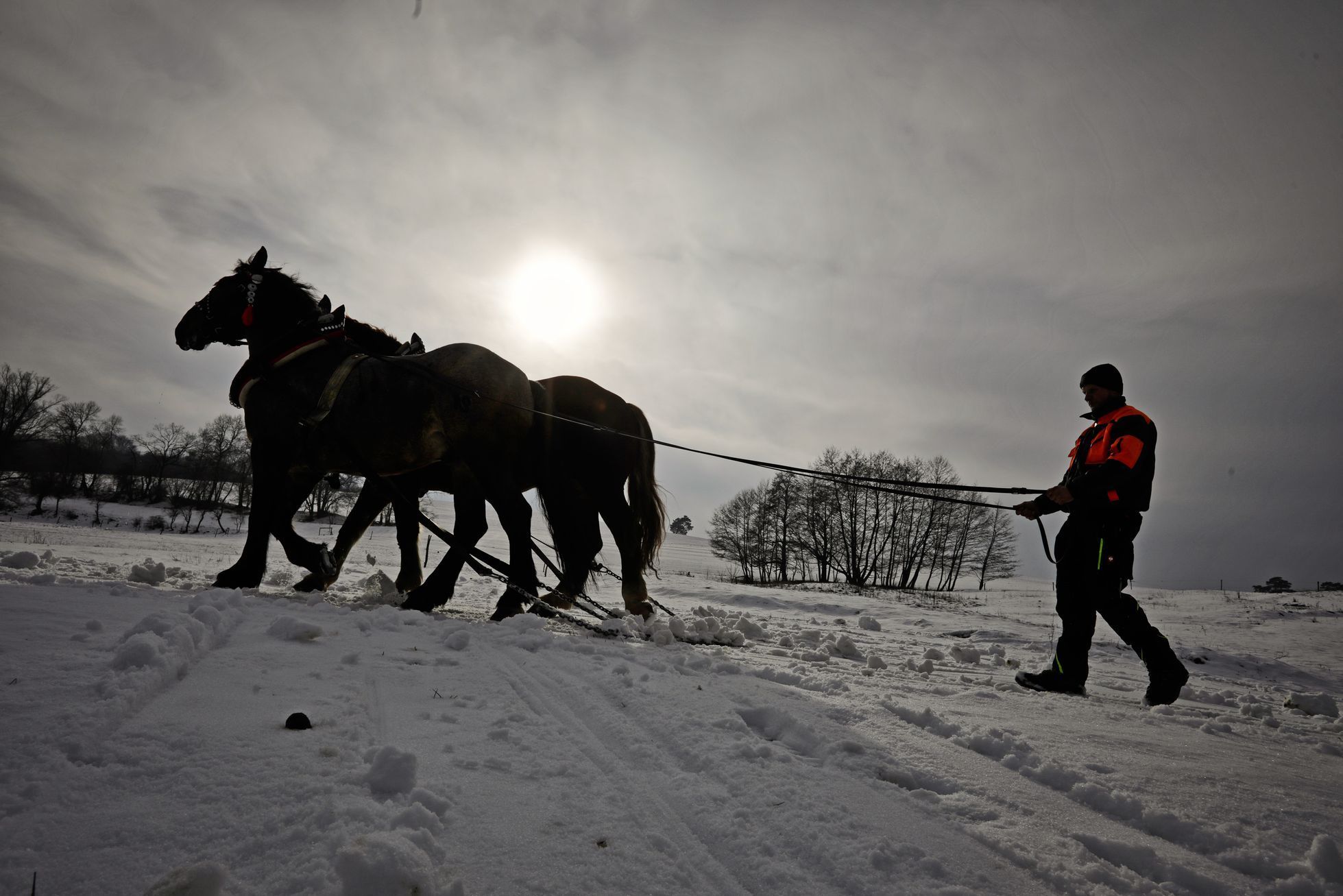 Formanské závody, Nemšová, Slovensko, Lifestyle