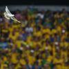 MS 2014, Brazílie-Chorvatsko: holubice
