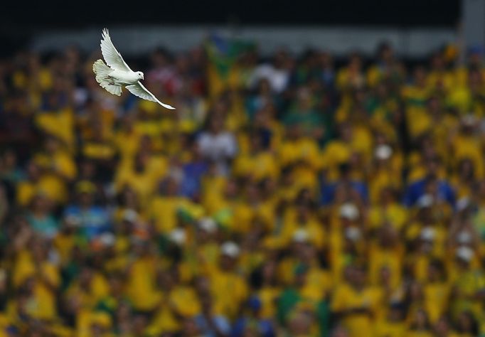 A dove flies after being released before the start of the 2014 World Cup opening match between Brazil and Croatia at the Corinthians arena in Sao Paulo June 12, 2014. REU