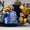 Hokej, extraliga, Plzeň - Litvínov: Johnson a Francouz