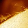 Dramatic prominences can sometimes be seen looming just beyond the edge of the sun. A solar prominence is a cloud of solar gas held just above the surface by the Sun's magnetic field. The Earth would easily fit below the prominence on the left. A quiescent prominence typically lasts about a month, and may erupt in a Coronal Mass Ejection (CME) expelling hot gas into the Solar System. Although very hot, prominences typically appear dark when viewed against the Sun, since they are slightly cooler than the surface. The above image in false color was taken on June 1 from Stuttgart, Germany with an amateur telescope and camera. Photo Credit & Copyright: Stefan Seip (AstroMeeting)
