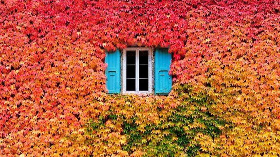 GALERIE: Podoby barevného podzimu, které vás inspirují