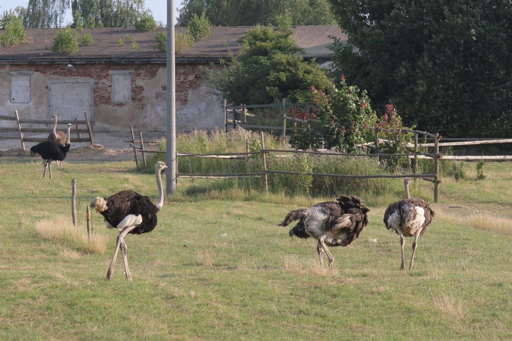 Zruijnovaný kraj Vysočina