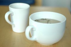 FAO: Čaj mírně zlevní a lidé ho budou pít stále více
