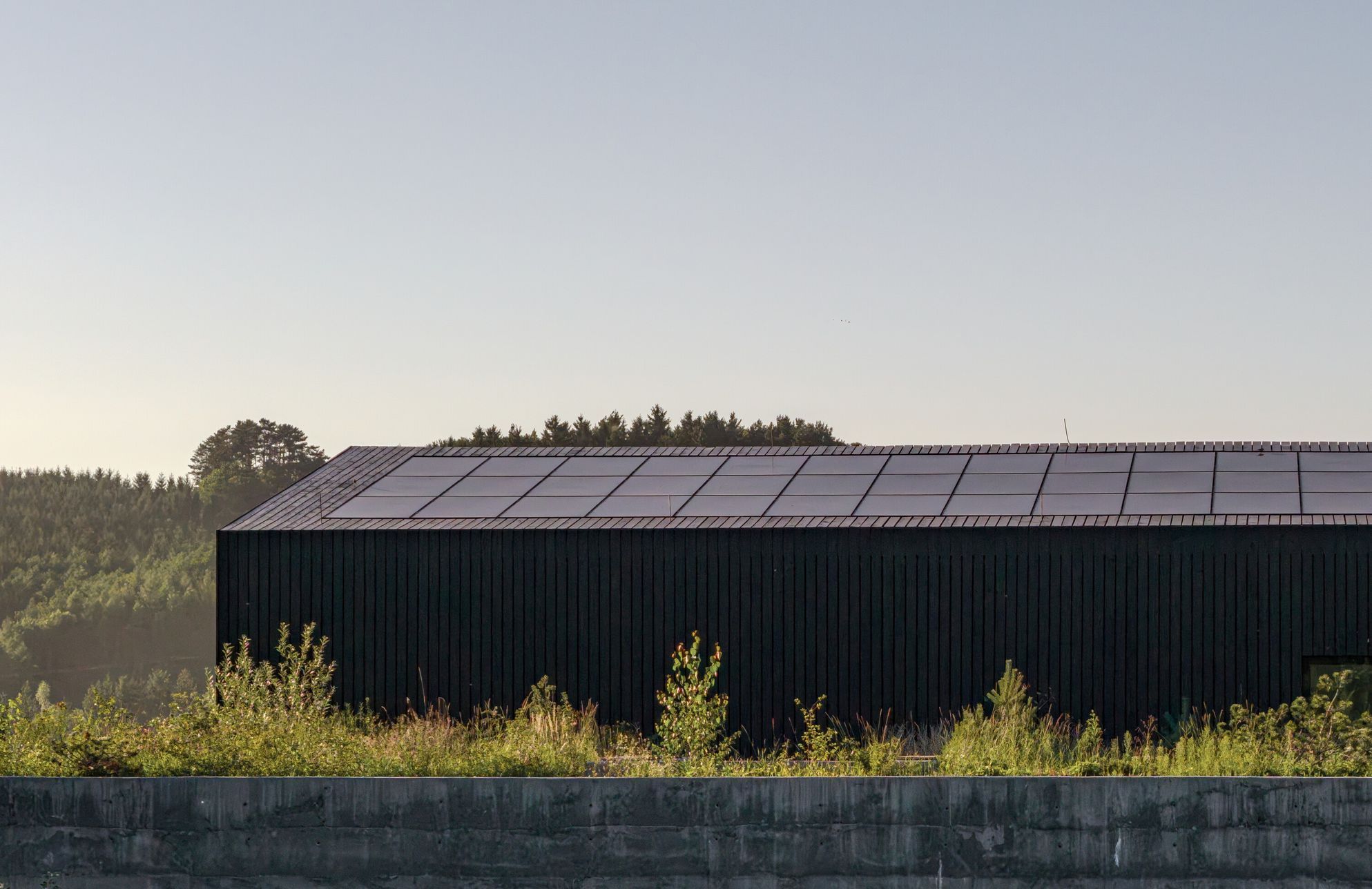 rekonstrukce, dům, sklad obilí, přestavba, architektura