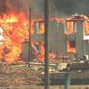 Davidiáni, Waco, Texas, David Koresh, obléhání, masakr, Zahraničí, sekta, USA