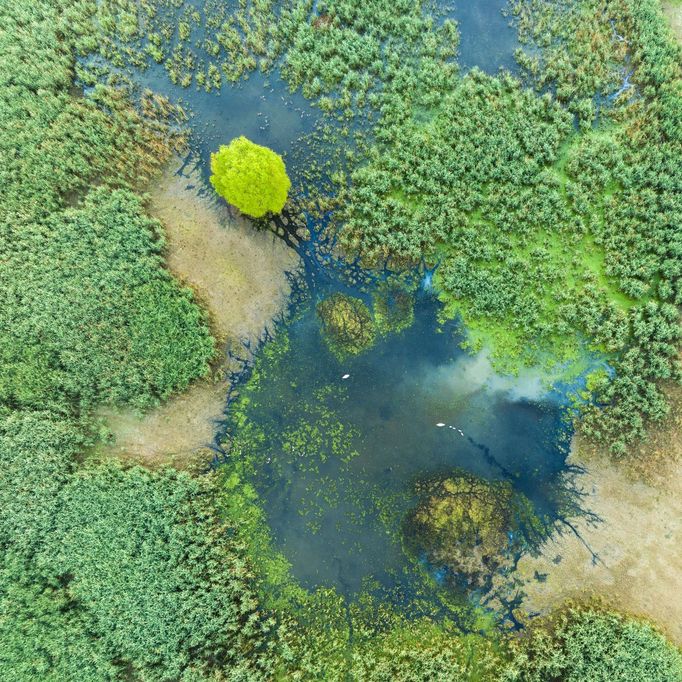 Moravské Slovácko, jižní Morava, fotografie z dronu, fotograf Radek Severa