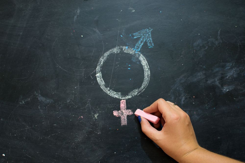 sex škola vzdělání sexuální výchova gender ilustrační foto