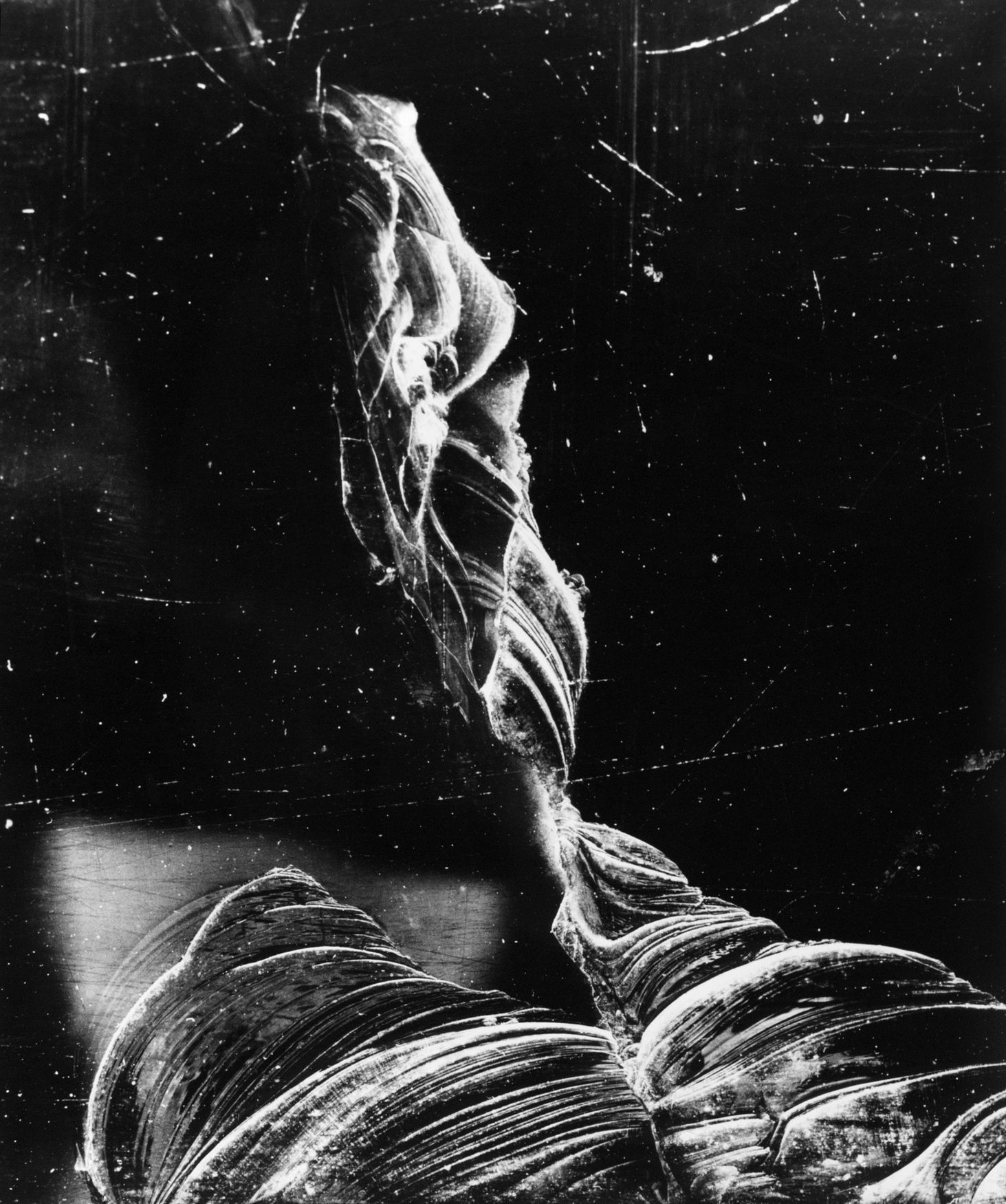 Výstava: Vilém Reichmann. Každá věc je počátkem básně, Vilém Reichmann, fotograf, výstava, Brno, Foto, Magazín