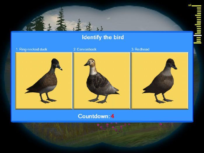 Wildlife Explorer: Birds of America