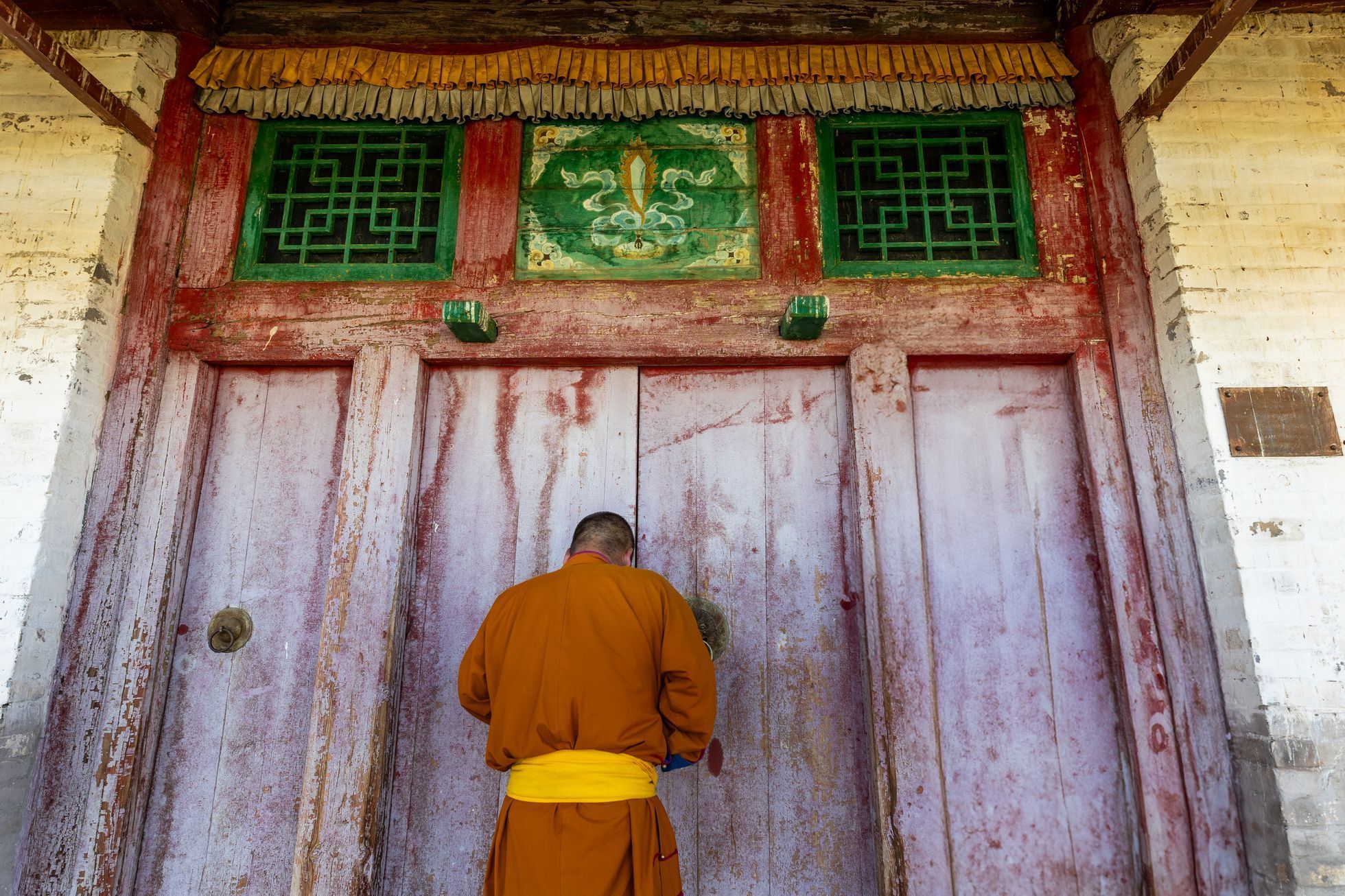 Žlutá žába Dan Přibáň