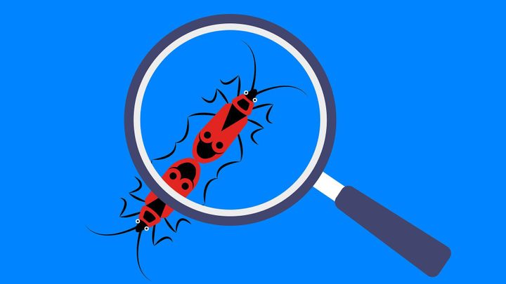 Na našem lyceu potřebujeme objevitele. Jednotné přijímačky je nedodají, říká ředitel; Zdroj foto: Chytré Česko