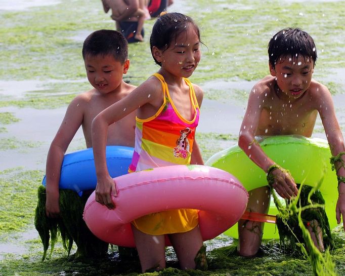 A group of Chinese children play at an algae covered public beach in Qingdao, northeast China's Shandong province on July 4, 2013. The seas off China have been hit by their largest ever growth of algae, ocean officials said, with vast waves of green growth washing onto the shores of the Yellow Sea. CHINA OUT AFP PHOTO Přidat do lightboxu Stáhnout náhled Odeslat emailem