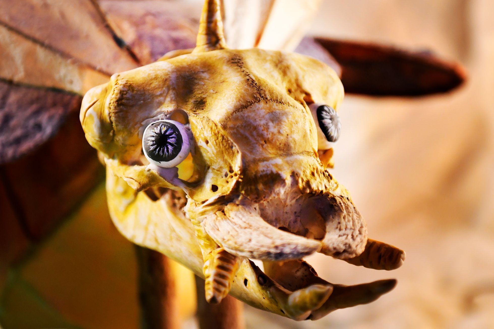 Blik Blik - Digitální hřiště