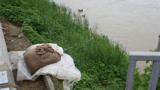 Voda je o schůdek výš. Lidé ale veří, že Morava zůstane v korytu