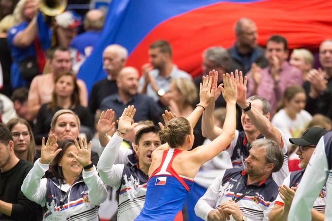 Karolína Plíšková, Fed Cup, Česko vs. Rumunsko