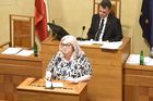 Vytvořme samostatné romské třídy, řekla Hamplová. Rakušan ji viní z rasismu