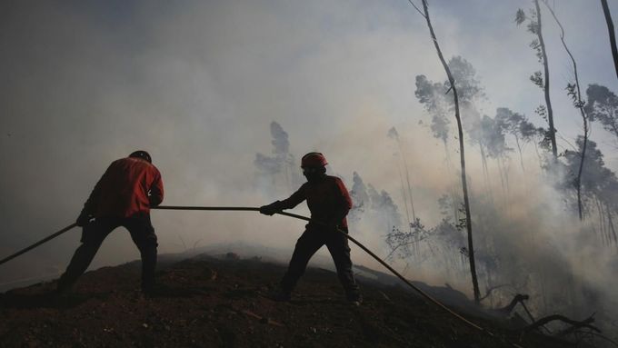 Obrazem: Portugalsko zvítězilo nad lesními požáry