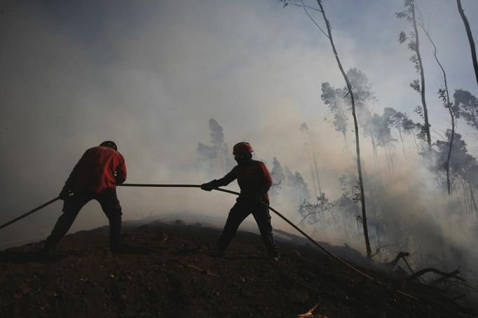 Firefighters attempt to extinguish a fire burning in Alvaiazere, near Ourem September 4, 2012. According to the civil defence, over 1,700 firefighters have been mobilized to tackle more than 10 forest fires currently active in Portugal. REUTERS/Rafael Marchante (PORTUGAL - Tags: DISASTER ENVIRONMENT) Published: Zář. 4, 2012, 1:09 odp.