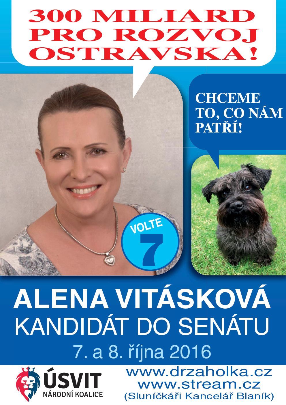 Alena Vitásková volby Senát plakát