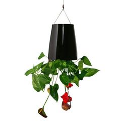 Designové květináče