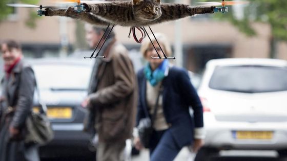 Obrazem: Podívejte se na netradiční fotografie Reuters