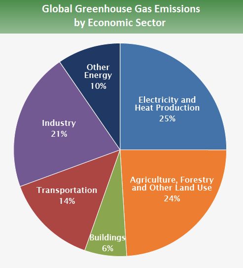 Graf produkce CO2 podle sektorů
